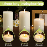 Natural Beeswax Pillar Candles,100% Pure Beeswax Candles - 258 Hours Long Burning,Off - White Unscented Bees Wax Candles for Home,Prayer,Dripless Smokeless Organic Pillar Candles Bulk - 2x4in - 6 Pack - Homesidy.com