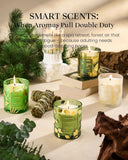 M&amp;SENSE Vanilla Scented Candles, Vegan Soy Candles, Creamy Naturally Scented, 8.1oz 42 - Hour Slow Burning Time, Toxic Free Winter Relaxing Sleep Thanksgiving Christmas Fancy Gift for Home Decor - Homesidy.com