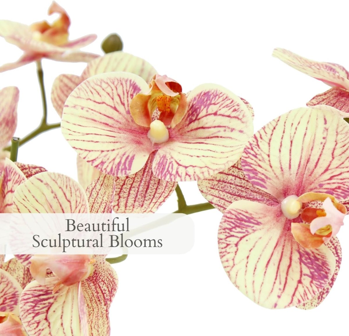 CG Hunter Faux White Orchid Plant, Premium Artificial Indoor Flower Display Stands 25 - Inches with Beautiful Sculptural Blooms and Foliage That Lasts Forever, Grey Planter Pot Included - Homesidy.com
