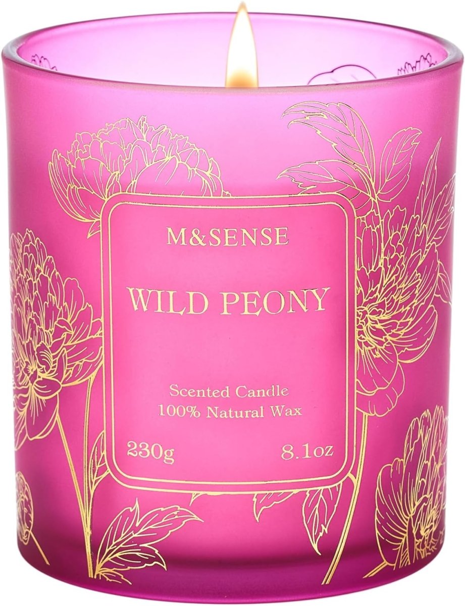 M&amp;SENSE Vanilla Scented Candles, Vegan Soy Candles, Creamy Naturally Scented, 8.1oz 42 - Hour Slow Burning Time, Toxic Free Winter Relaxing Sleep Thanksgiving Christmas Fancy Gift for Home Decor - Homesidy.com