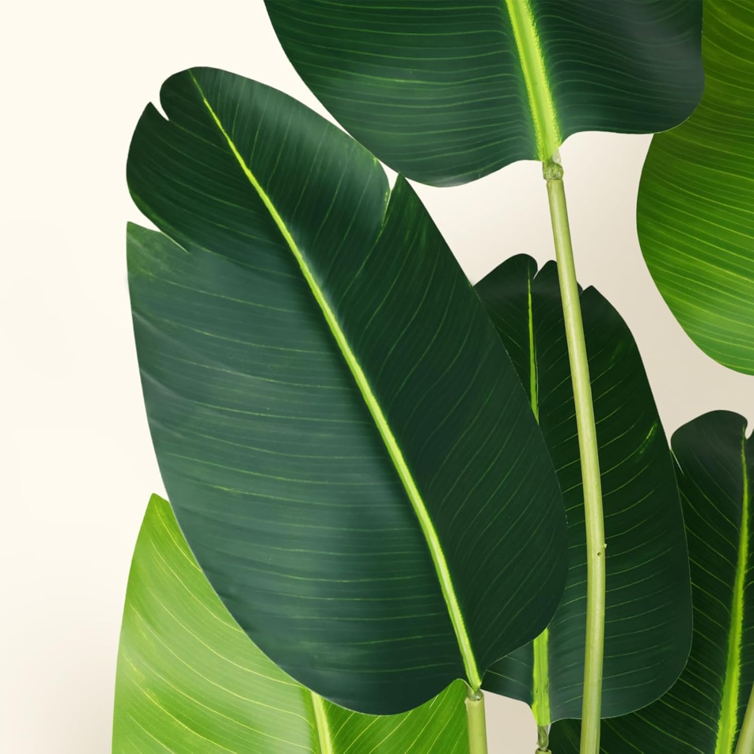 Artificial Bird of Paradise Plant 7Ft Fake Tropical Palm Tree with 17Trunks Faux Banana Leaf Trees in Pot for Home Indoor Outdoor Office Modern Decor Housewarming - Homesidy.com