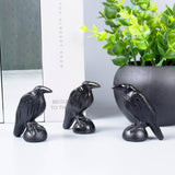 QLRSUXN Natural Black Obsidian Raven Figurines,2 Inch Healing Crystal Animal Statues,Lucky Guardian Pocket Crow Figurines as Women’s Gifts,Raven Statues for Office Home Decor and Ornament. - Homesidy.com