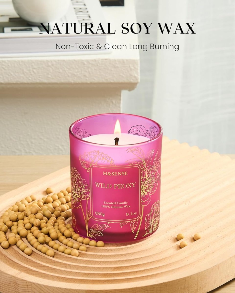M&amp;SENSE Vanilla Scented Candles, Vegan Soy Candles, Creamy Naturally Scented, 8.1oz 42 - Hour Slow Burning Time, Toxic Free Winter Relaxing Sleep Thanksgiving Christmas Fancy Gift for Home Decor - Homesidy.com