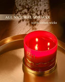 1771 Aromas Vanilla Scented Candles - 100% Natural Soy Wax - Large 3 Wick Jar Candle - Up to 50 Hours Burning Time - Candles for Home - Gift - Ready Candle for Men &amp; Women - Aromatherapy Candles - Homesidy.com