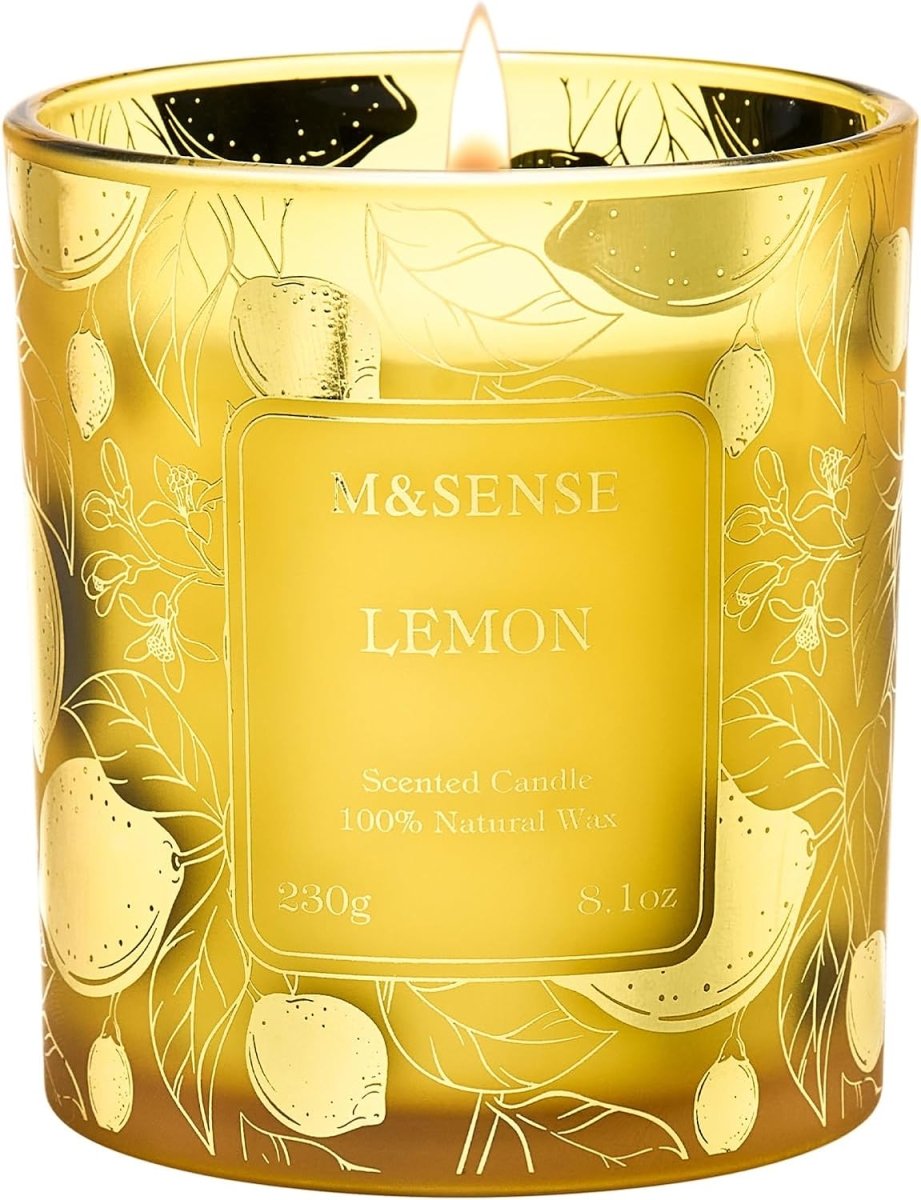 M&amp;SENSE Vanilla Scented Candles, Vegan Soy Candles, Creamy Naturally Scented, 8.1oz 42 - Hour Slow Burning Time, Toxic Free Winter Relaxing Sleep Thanksgiving Christmas Fancy Gift for Home Decor - Homesidy.com