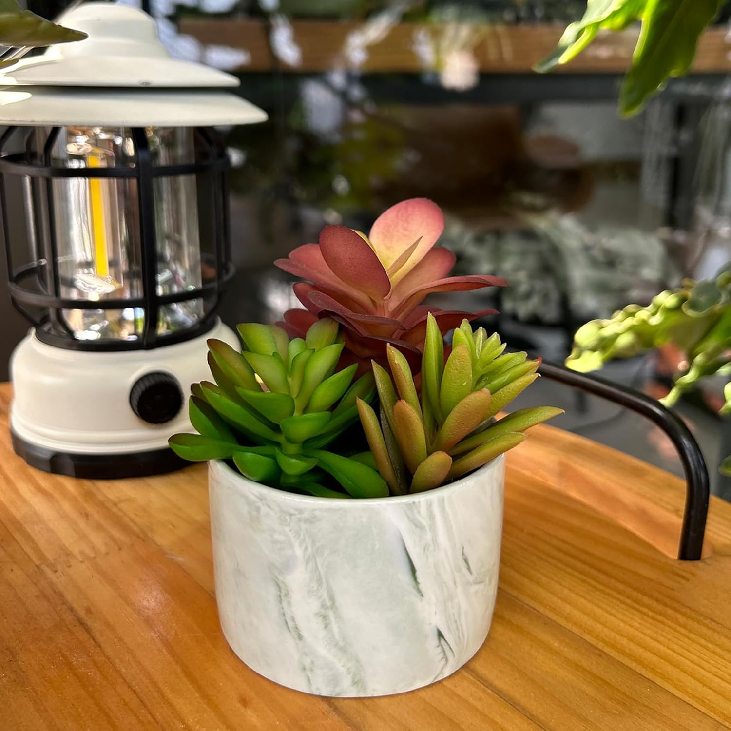 Karlliu Artificial Plants Cute Colourful Succulents in Ceramic Planter Fake Plant Flowers Potted for Home Living Room Office Desk Decor Bathroom Bedroom Indoor Decoration - Homesidy.com