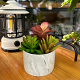 Karlliu Artificial Plants Cute Colourful Succulents in Ceramic Planter Fake Plant Flowers Potted for Home Living Room Office Desk Decor Bathroom Bedroom Indoor Decoration - Homesidy.com