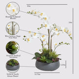 CG Hunter Faux White Orchid Plant, Premium Artificial Indoor Flower Display Stands 25 - Inches with Beautiful Sculptural Blooms and Foliage That Lasts Forever, Grey Planter Pot Included - Homesidy.com