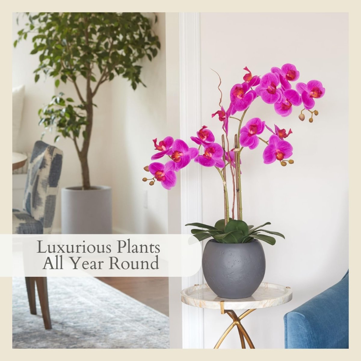 CG Hunter Faux White Orchid Plant, Premium Artificial Indoor Flower Display Stands 25 - Inches with Beautiful Sculptural Blooms and Foliage That Lasts Forever, Grey Planter Pot Included - Homesidy.com