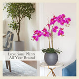 CG Hunter Faux White Orchid Plant, Premium Artificial Indoor Flower Display Stands 25 - Inches with Beautiful Sculptural Blooms and Foliage That Lasts Forever, Grey Planter Pot Included - Homesidy.com