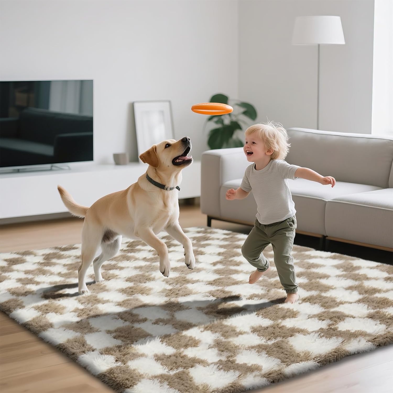 Shag Area Rugs for Bedroom Living Room,4X6 Ultra Soft Fluffy Area Rugs for Dorm, Indoor Carpet Nursery Rugs for Kids Girls Room Home Decor,Pink - Homesidy.com