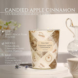 HomeLights Scented Candles for Women &amp; Men, 18oz Candle Jars Aromatherapy 4 - Wick Candle, Ideal for Rustic Modern Home Decor and Gifts, Blueberry Cheesecake - Homesidy.com