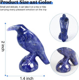 QLRSUXN Natural Black Obsidian Raven Figurines,2 Inch Healing Crystal Animal Statues,Lucky Guardian Pocket Crow Figurines as Women’s Gifts,Raven Statues for Office Home Decor and Ornament. - Homesidy.com