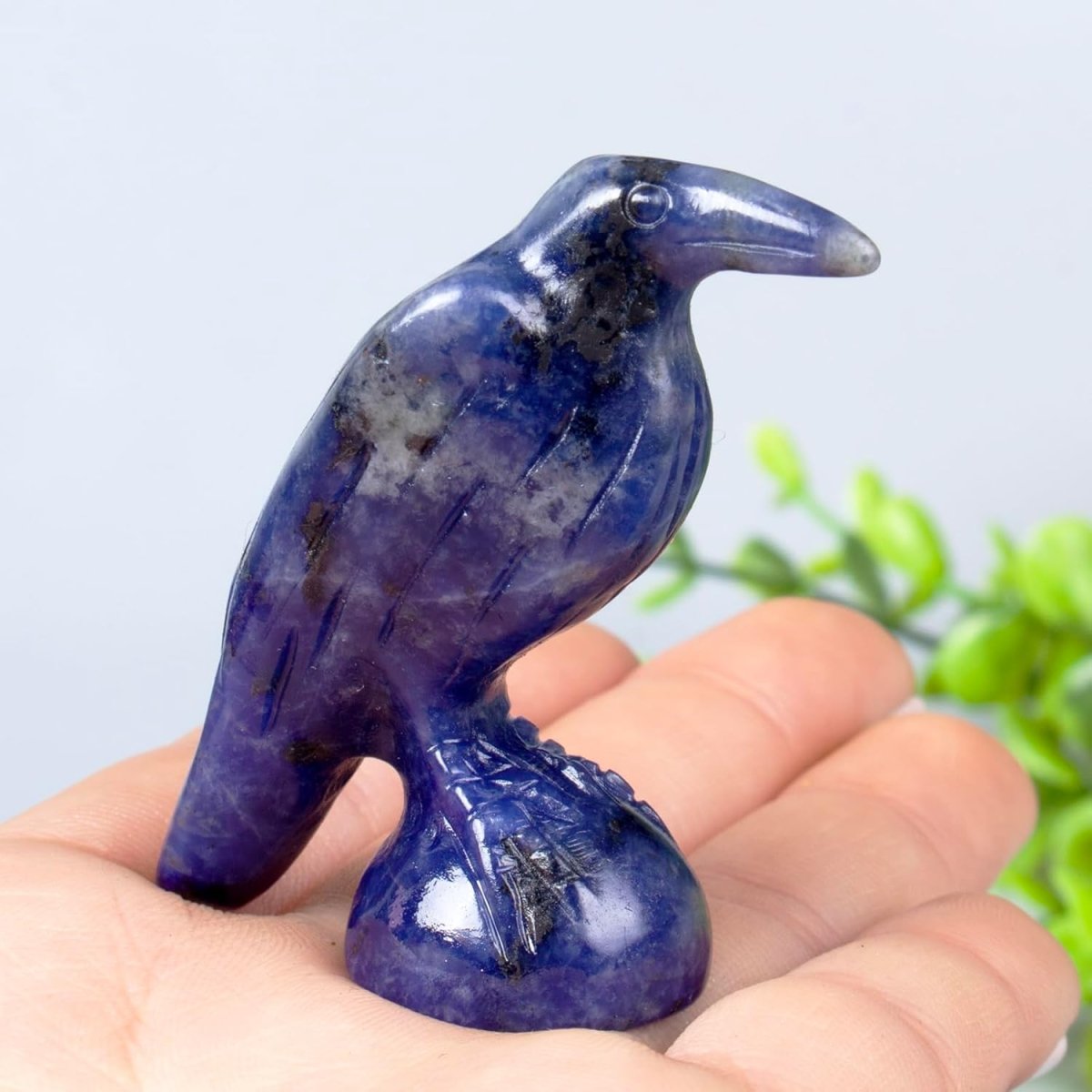 QLRSUXN Natural Black Obsidian Raven Figurines,2 Inch Healing Crystal Animal Statues,Lucky Guardian Pocket Crow Figurines as Women’s Gifts,Raven Statues for Office Home Decor and Ornament. - Homesidy.com