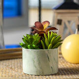 Karlliu Artificial Plants Cute Colourful Succulents in Ceramic Planter Fake Plant Flowers Potted for Home Living Room Office Desk Decor Bathroom Bedroom Indoor Decoration - Homesidy.com