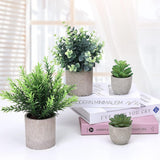 CEWOR 4 Pack Small Fake Plants Eucalyptus Rosemary Succulents Plants Artificial in Pots for Shelf Artificial Greenery Eucalyptus Plant Indoor for Home Bedroom Living Room Decoration - Homesidy.com