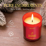 Balsam Cedar Candle, 10oz Soy Scented Candle for Home, Christmas Birthday &amp; Holiday Gifts for Women &amp; Men, Long Lasting 50 Hour Clean Non - Toxic Burn, Elegant Winter &amp; Christmas Festive Home Decor - Homesidy.com