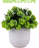 Karlliu Artificial Plants Cute Colourful Succulents in Ceramic Planter Fake Plant Flowers Potted for Home Living Room Office Desk Decor Bathroom Bedroom Indoor Decoration - Homesidy.com