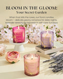 M&amp;SENSE Vanilla Scented Candles, Vegan Soy Candles, Creamy Naturally Scented, 8.1oz 42 - Hour Slow Burning Time, Toxic Free Winter Relaxing Sleep Thanksgiving Christmas Fancy Gift for Home Decor - Homesidy.com