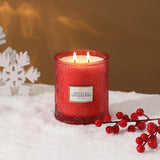 Frosted Cranberry Luxury Scented Candles - 19oz, 88hr Burn Time, Perfect Christmas Gifts for Women - Homesidy.com