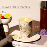 HomeLights Scented Candles for Women &amp; Men, 18oz Candle Jars Aromatherapy 4 - Wick Candle, Ideal for Rustic Modern Home Decor and Gifts, Blueberry Cheesecake - Homesidy.com