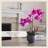 CG Hunter Faux White Orchid Plant, Premium Artificial Indoor Flower Display Stands 25 - Inches with Beautiful Sculptural Blooms and Foliage That Lasts Forever, Grey Planter Pot Included - Homesidy.com
