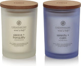 Chesapeake Bay Candle Mind &amp; Body 3 - Wick Coffee Table Jar Candle, Nourish Renew (Coconut &amp; Sandalwood) - Homesidy.com