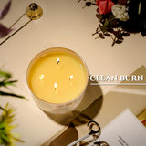 HomeLights Scented Candles for Women &amp; Men, 18oz Candle Jars Aromatherapy 4 - Wick Candle, Ideal for Rustic Modern Home Decor and Gifts, Blueberry Cheesecake - Homesidy.com