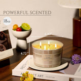 HomeLights Scented Candles for Women &amp; Men, 18oz Candle Jars Aromatherapy 4 - Wick Candle, Ideal for Rustic Modern Home Decor and Gifts, Blueberry Cheesecake - Homesidy.com