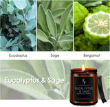 Eucalyptus &amp; Sage Scented Candles,Candles for Home Scented Aromatherapy Candles,Soy Wax Candle Gift for Women Men Amber Jar Candle, 7oz - Homesidy.com