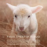 Ashler Faux Fur Rug, Fluffy White Small Sheepskin Rug, Ultra Soft 2x3 Ft Mat, Machine Washable Shag Mats, Nursery Throw for Bed, Living, Kids Room - Homesidy.com