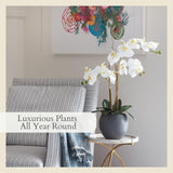 CG Hunter Faux White Orchid Plant, Premium Artificial Indoor Flower Display Stands 25 - Inches with Beautiful Sculptural Blooms and Foliage That Lasts Forever, Grey Planter Pot Included - Homesidy.com
