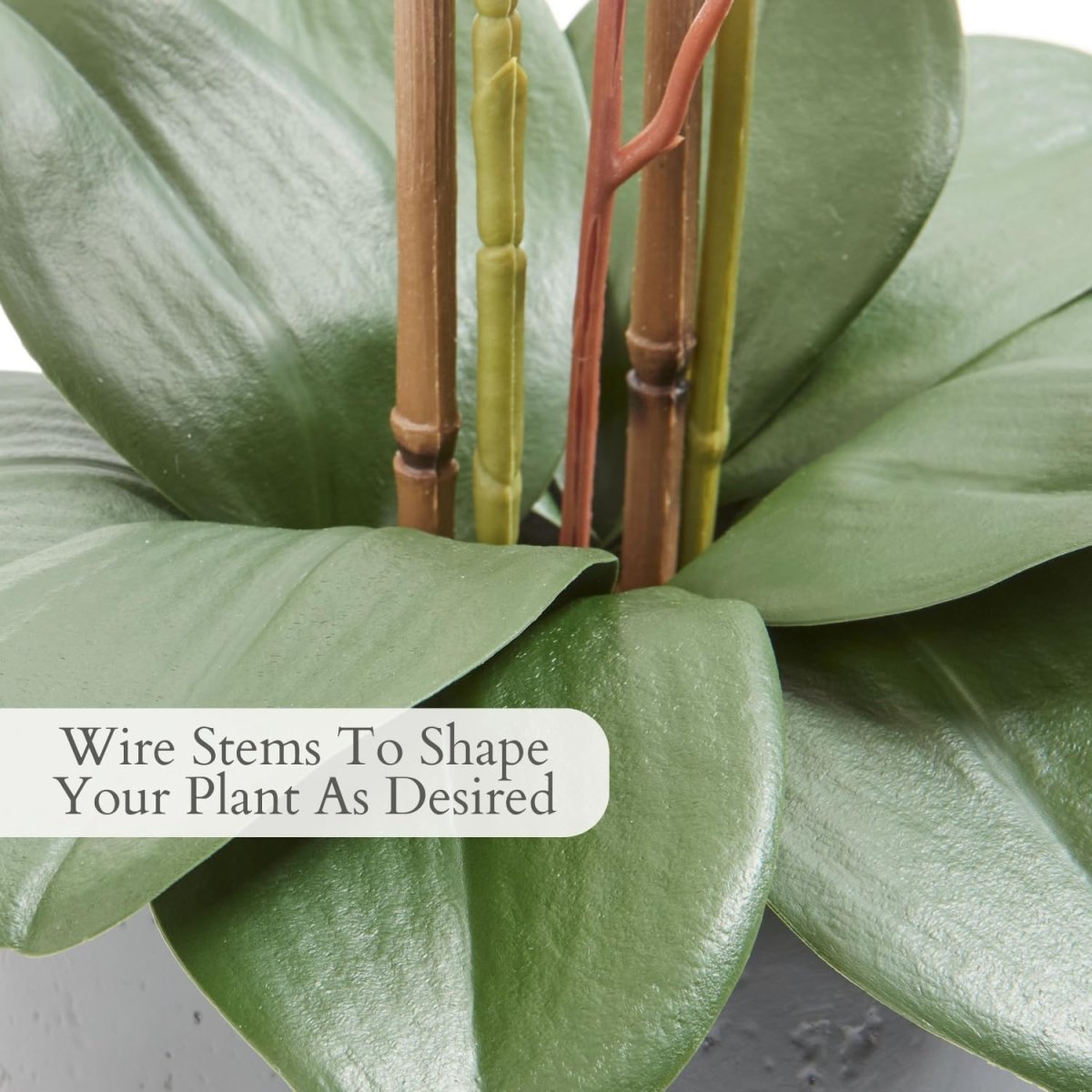 CG Hunter Faux White Orchid Plant, Premium Artificial Indoor Flower Display Stands 25 - Inches with Beautiful Sculptural Blooms and Foliage That Lasts Forever, Grey Planter Pot Included - Homesidy.com