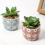 Karlliu Artificial Plants Cute Colourful Succulents in Ceramic Planter Fake Plant Flowers Potted for Home Living Room Office Desk Decor Bathroom Bedroom Indoor Decoration - Homesidy.com