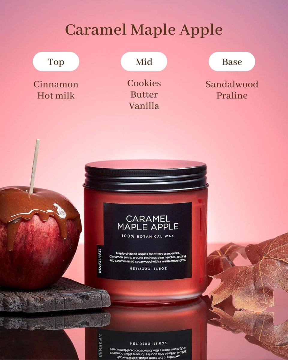 M&amp;SENSE Ode to Winter Soy Candles Strong Scented, 2 Wick Jar Candle 19.4oz 110 Hour Long Lasting, Lavender Sandalwood Organic Natural Aromatherapy Candle Gifts Bedroom Bathroom Home Decor - Homesidy.com