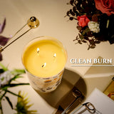 HomeLights Scented Candles for Women &amp; Men, 18oz Candle Jars Aromatherapy 4 - Wick Candle, Ideal for Rustic Modern Home Decor and Gifts, Blueberry Cheesecake - Homesidy.com