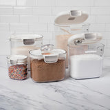 ProKeeper 9 - Piece Airtight Food Storage Container Set – Clear Plastic Flour and Sugar Canister Set with Magnetic Accessories for Kitchen Organization (Grey, 9 - Piece) - Homesidy.com