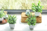 Der Rose 4 Pack Fake Plants Mini Artificial Greenery Potted Plants for Home Decor Indoor Office Table Room Farmhouse Bathroom Decor - Homesidy.com