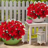 MOIAVAN 12 Bunches Poinsettias Artificial Christmas Flowers for Outdoors,14 Fake Red Poinsettias Faux Eucalyptus Plants UV Resistant for Home Planters Garden Porch Christmas Winter Spring Décor - Homesidy.com