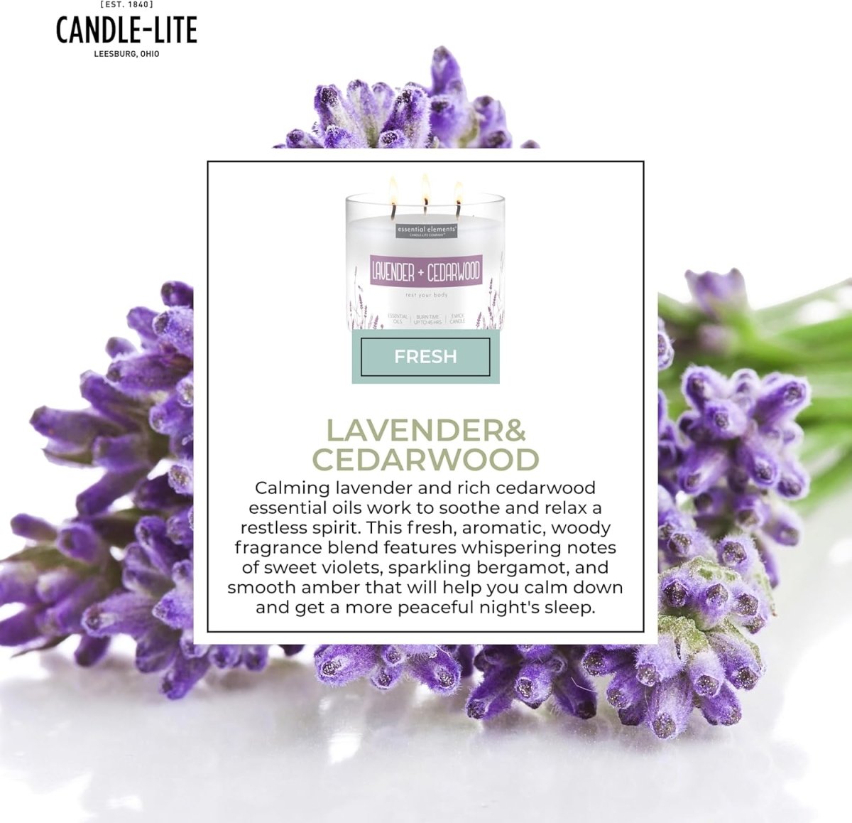 Candle - lite Essential Elements Scented Candles, Eucalyptus &amp; Mint Leaf, 14.75 oz Jar, Proudly Poured in The USA, Aromatherapy, 3 - Wick with 45 Hours Burn Time, Perfect for Creating a Relaxing Ambiance - Homesidy.com