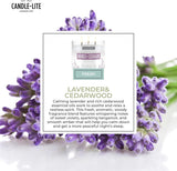 Candle - lite Essential Elements Scented Candles, Eucalyptus &amp; Mint Leaf, 14.75 oz Jar, Proudly Poured in The USA, Aromatherapy, 3 - Wick with 45 Hours Burn Time, Perfect for Creating a Relaxing Ambiance - Homesidy.com