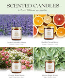 AOOVOO Scented Candles - 4PC Candle Set, 36 oz Soy Candles, Soy Candle for Home Scented, Lavender/Vanilla/Eucalyptus/Sage - Homesidy.com