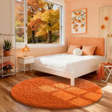 Ophanie Area Rugs for Living Room Bedroom, Upgrade Non - Slip Fluffy Soft Grey Shag Carpet, Indoor Floor Gray 4x6 Fuzzy Shaggy Living Room Plush Rug for Kids Home Dorm Decor Aesthetic - Homesidy.com
