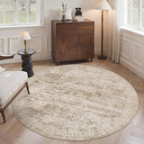 Soalmost Washable Area Rug 8x10, Large Soft Rugs for Living Room Vintage Beige Carpet 8x10 Area Rugs for Bedroom Dining Room Non - Slip Stain Resistant Under Table Rug - Homesidy.com