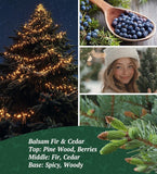 Merry Christmas Candles with Warmer LED, Christmas Decor Gifts Winter Candle with Pine Wood Spice Scents, Cypress Candle Over 40 Hours Burn Time, Home Decorations Indoor, 100% Soy Wax,White - Homesidy.com