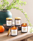 AOOVOO Scented Candles - 4PC Candle Set, 36 oz Soy Candles, Soy Candle for Home Scented, Lavender/Vanilla/Eucalyptus/Sage - Homesidy.com