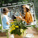 https://m.media-amazon.com/images/I/81TyrUASetL._AC_SL1500_.jpg