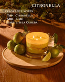 1771 Aromas Vanilla Scented Candles - 100% Natural Soy Wax - Large 3 Wick Jar Candle - Up to 50 Hours Burning Time - Candles for Home - Gift - Ready Candle for Men &amp; Women - Aromatherapy Candles - Homesidy.com