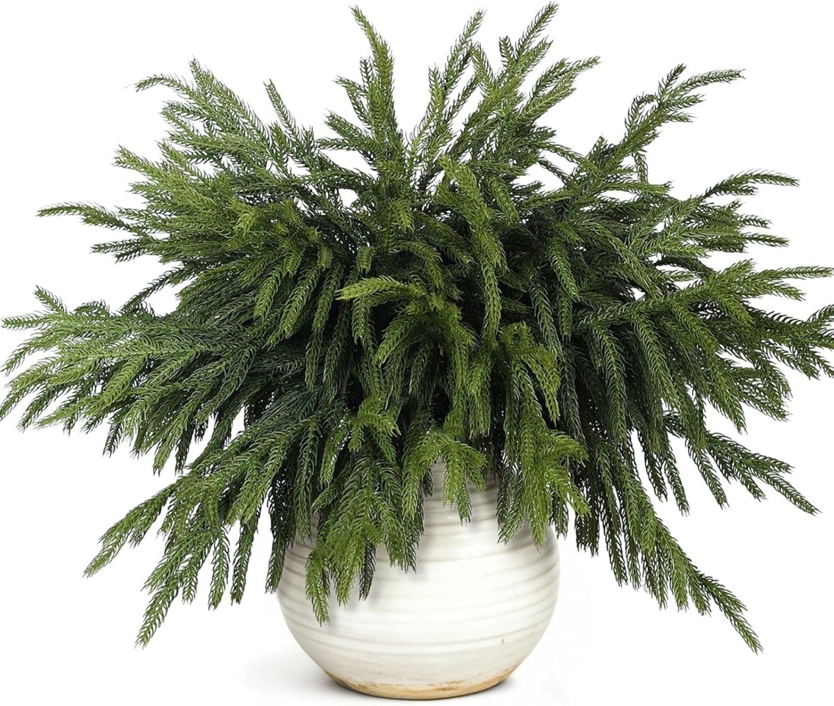 20 Pcs Christmas Norfolk Pine Branches - 18&34; Real Touch Artificial Norfolk Pine Branch Faux Plants Stem Fake Greenery Pine Picks for Vase DIY Crafts Garland Wreath Home Indoor Outdoor Decoration - Homesidy.com