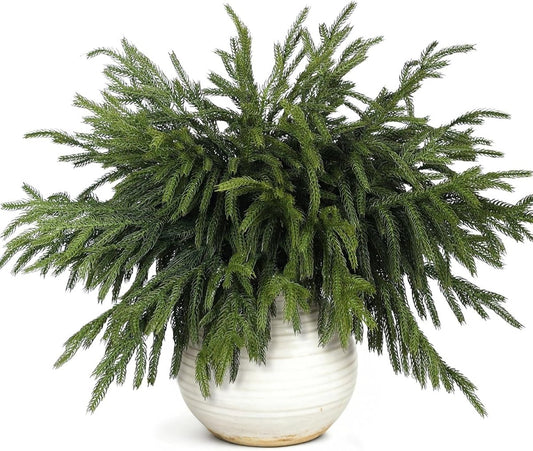 20 Pcs Christmas Norfolk Pine Branches - 18&34; Real Touch Artificial Norfolk Pine Branch Faux Plants Stem Fake Greenery Pine Picks for Vase DIY Crafts Garland Wreath Home Indoor Outdoor Decoration - Homesidy.com